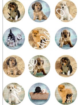 Papel de azucar perritos