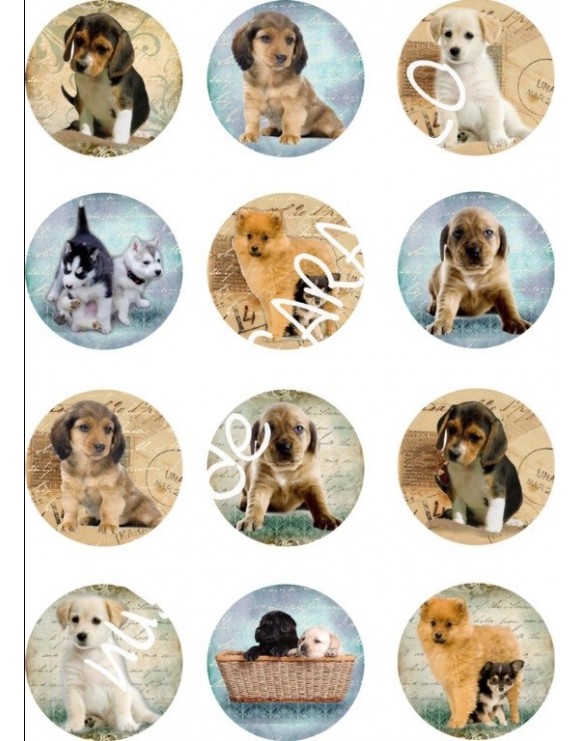 Papel de azucar perritos