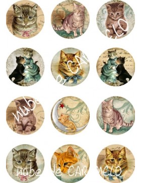 Papel de azucar gatitos