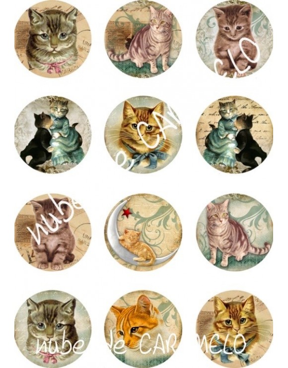Papel de azucar gatitos
