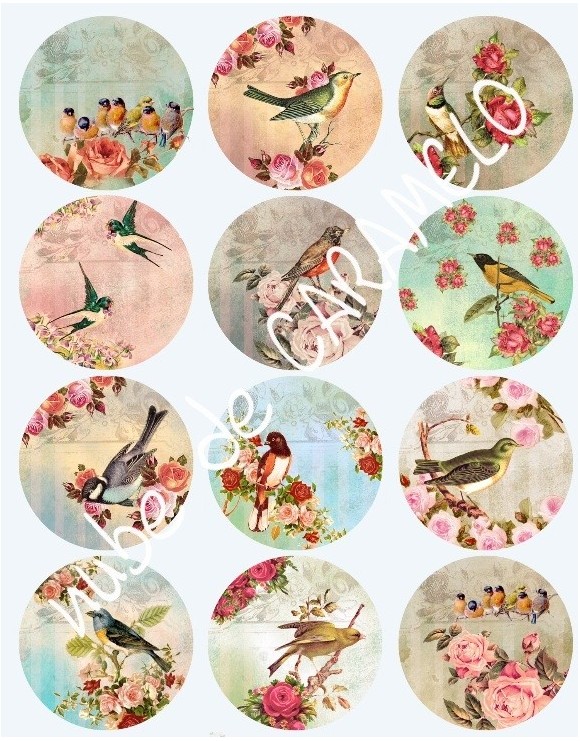 Papel de azucar pajaros vintage