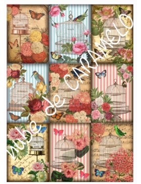 Papel de azúcar jaulas rosa