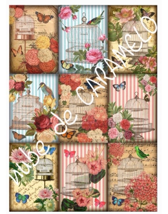 Papel de azúcar jaulas rosa