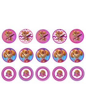 Papel de azúcar patrulla Canina Skye 3 