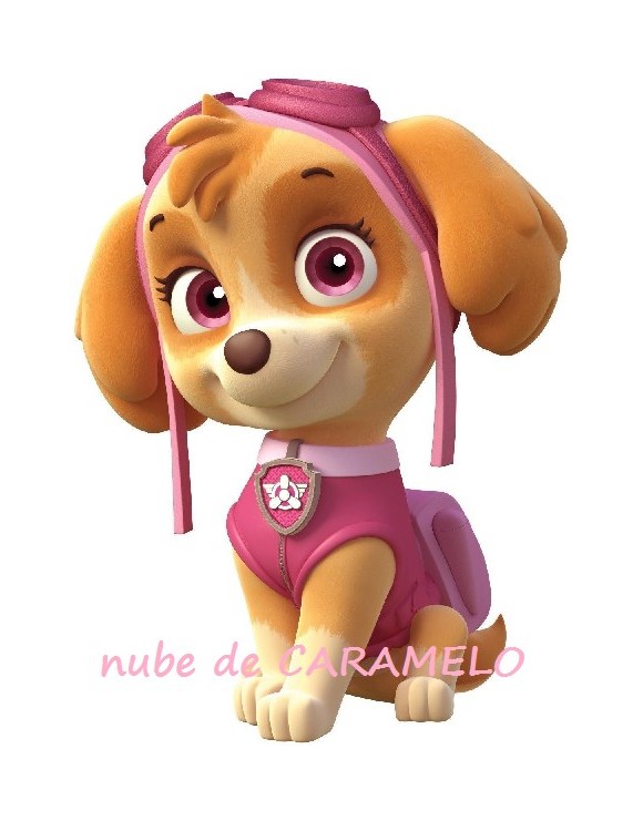 Papel Skye patrulla Canina 