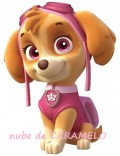 Papel Skye patrulla Canina 