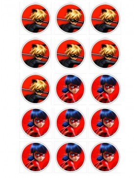 Papel Ladybug cat noir