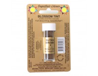 Colorante en polvo Aubergine Berenjena Sugarflair