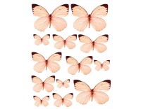 Oblea mariposas 1