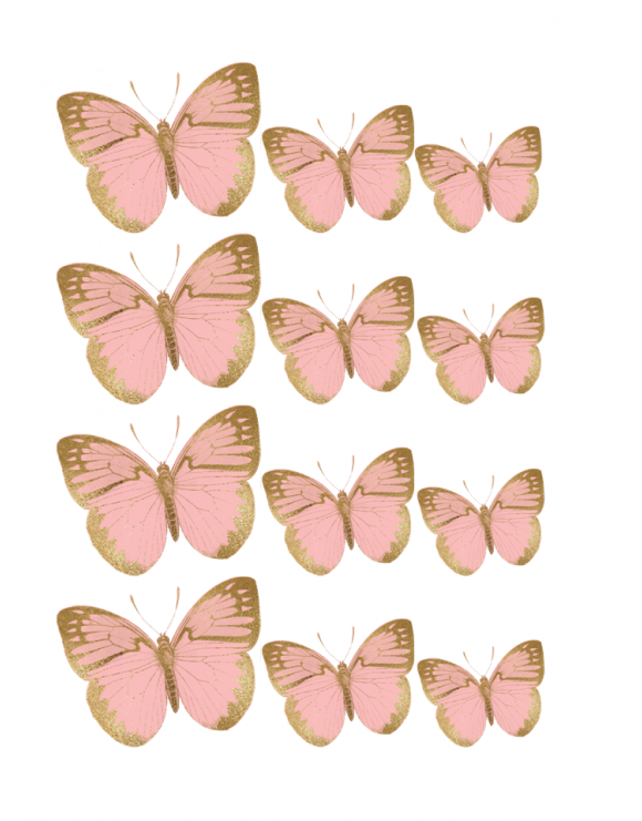 Oblea mariposas 3
