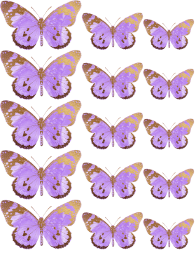 Oblea mariposas 4