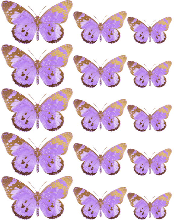 Oblea mariposas 4