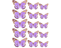 Oblea mariposas 4