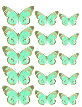 Oblea mariposas 5