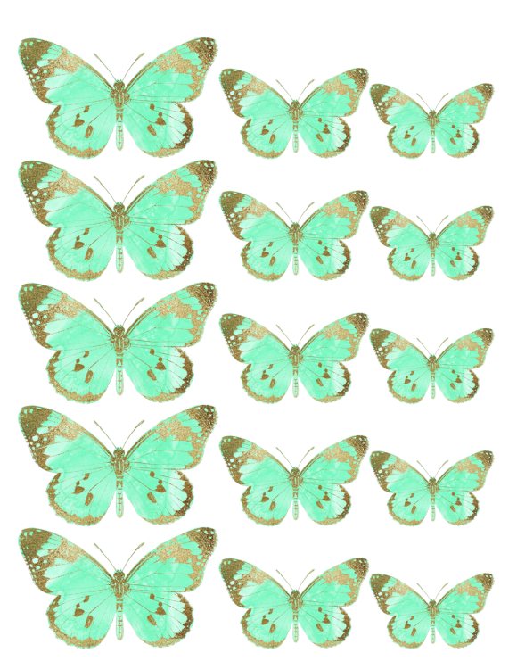 Oblea mariposas 5