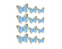 Oblea mariposas 6