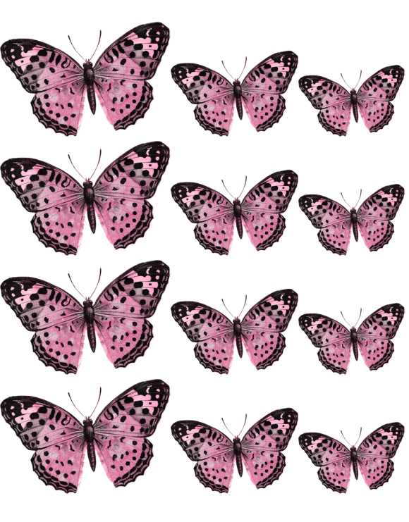 Oblea mariposas 6