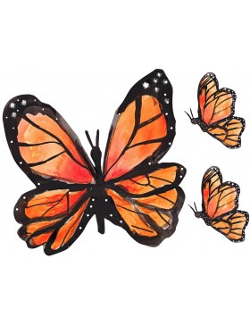 Hoja cartulina mariposas 1