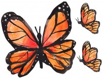 Hoja cartulina mariposas 1