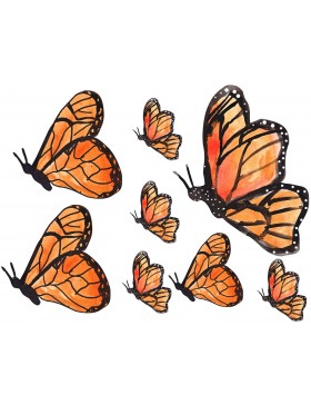 Hoja cartulina mariposas 2