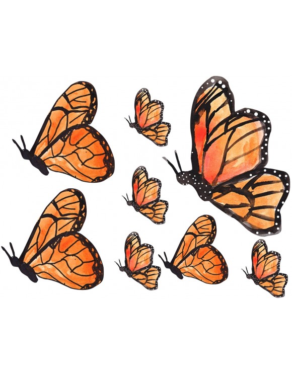 Hoja cartulina mariposas 2