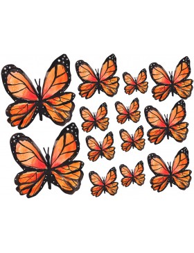 Hoja cartulina mariposas 3