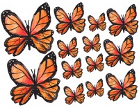 Hoja cartulina mariposas 3