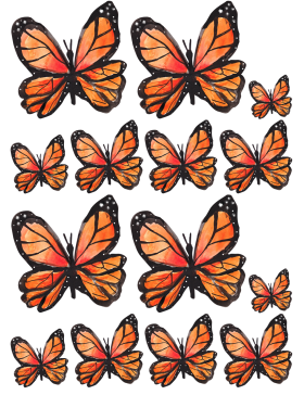 Oblea mariposas 8