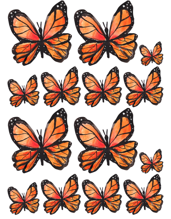 Oblea mariposas 8