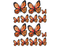 Oblea mariposas 8