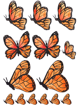 Oblea mariposas 9