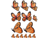 Oblea mariposas 9