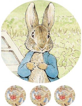 Papel de azúcar Rabbit 5