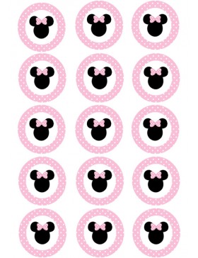 Papel de azucar Minnie 5