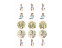 Papel de azúcar Rabbit 9