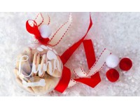 Bola de Navidad mascota 1