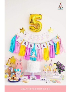 Kit de Fiesta Conejita Montado