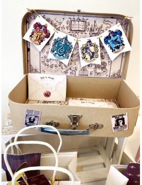 Maletín Harry Potter