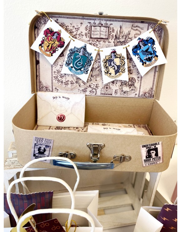 Maletín Harry Potter