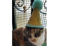 Gorritos para mascotas